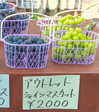 販売所