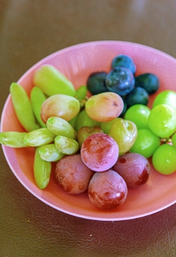 試食