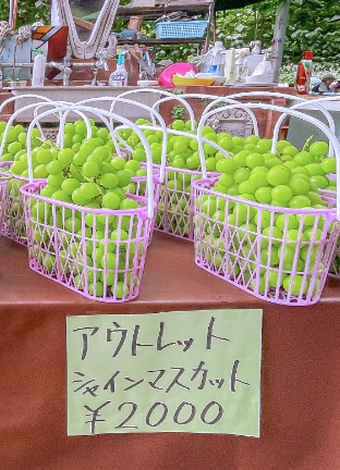 シャインマスカットのアウトレット商品